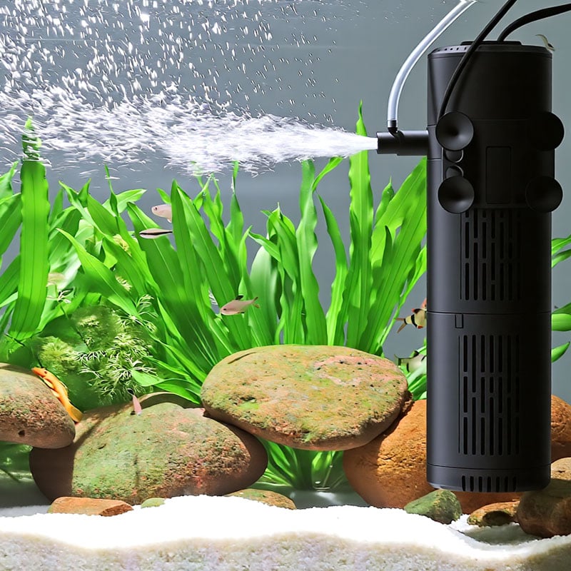 Clear aquarium green water
