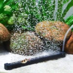 self-weighted aquarium strip