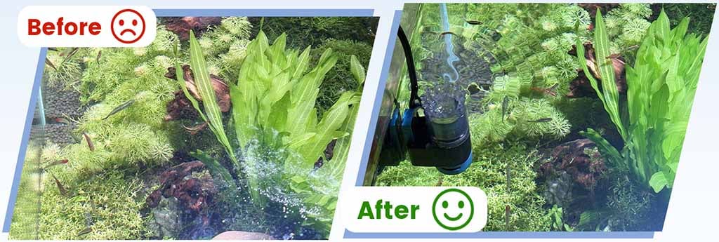 Remove oil film in aquariums quickly
