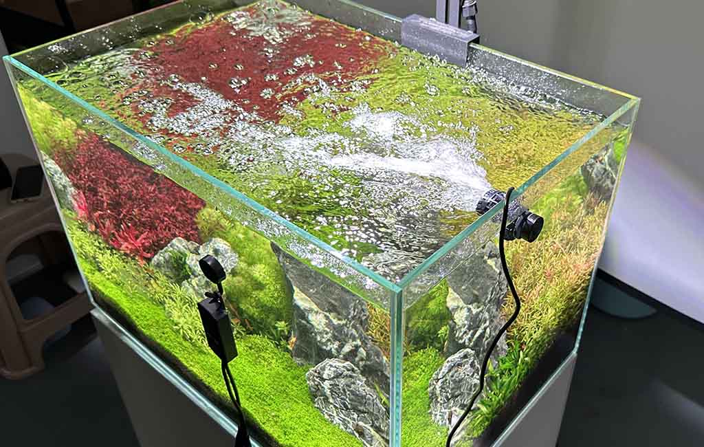 how to redo a fish tank