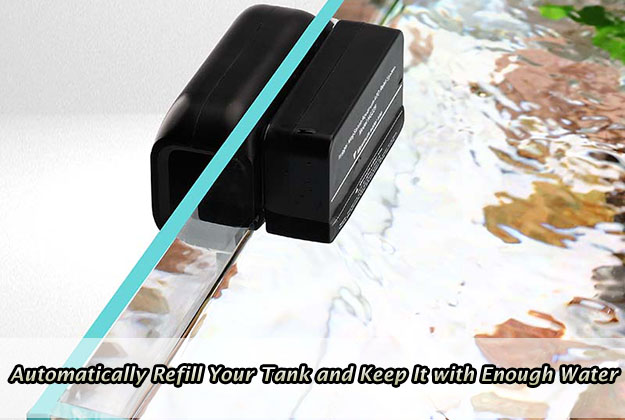 Automatically Refill Your Tank and Keep It with Enough Water