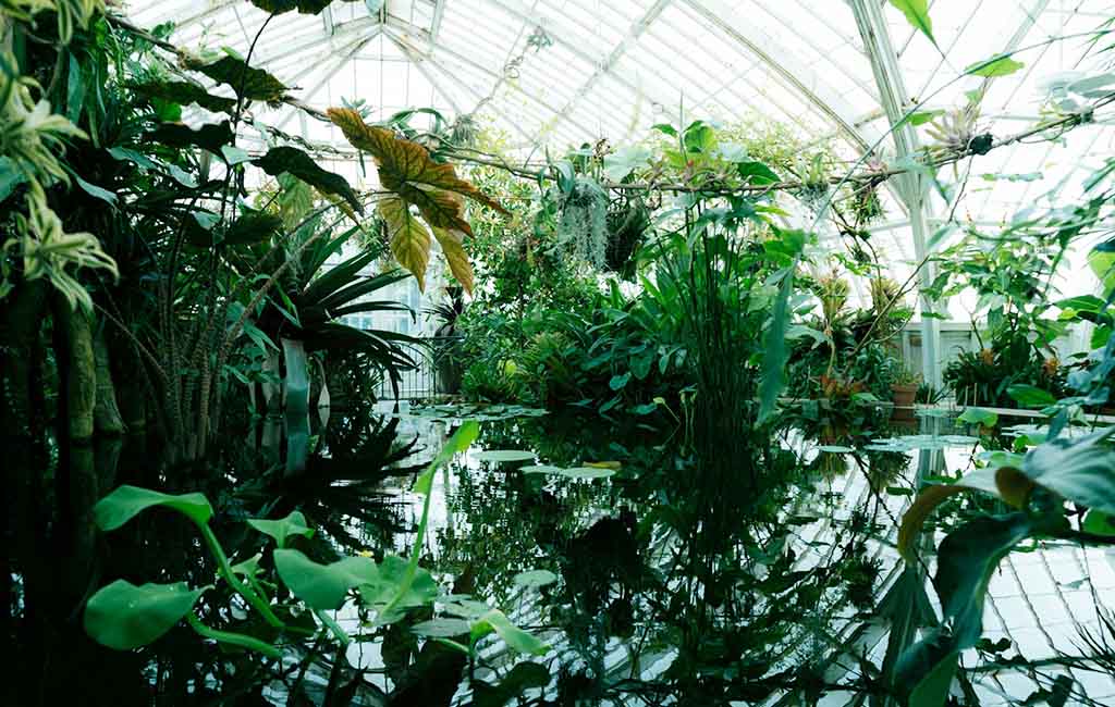 how to build a hydroponics 