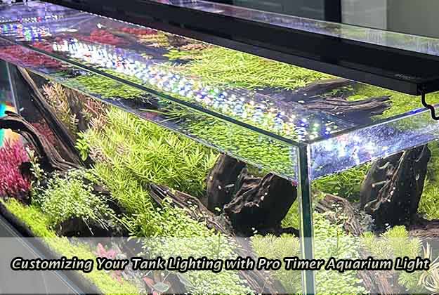 Customizing Your Tank Lighting with Pro Timer Aquarium Light