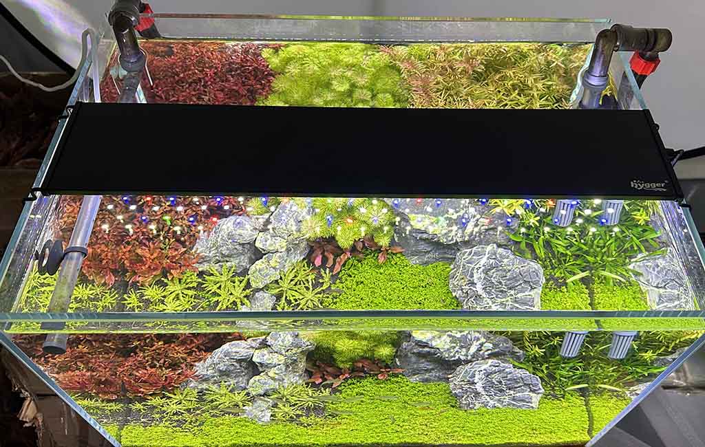 customizing fish tank lighting