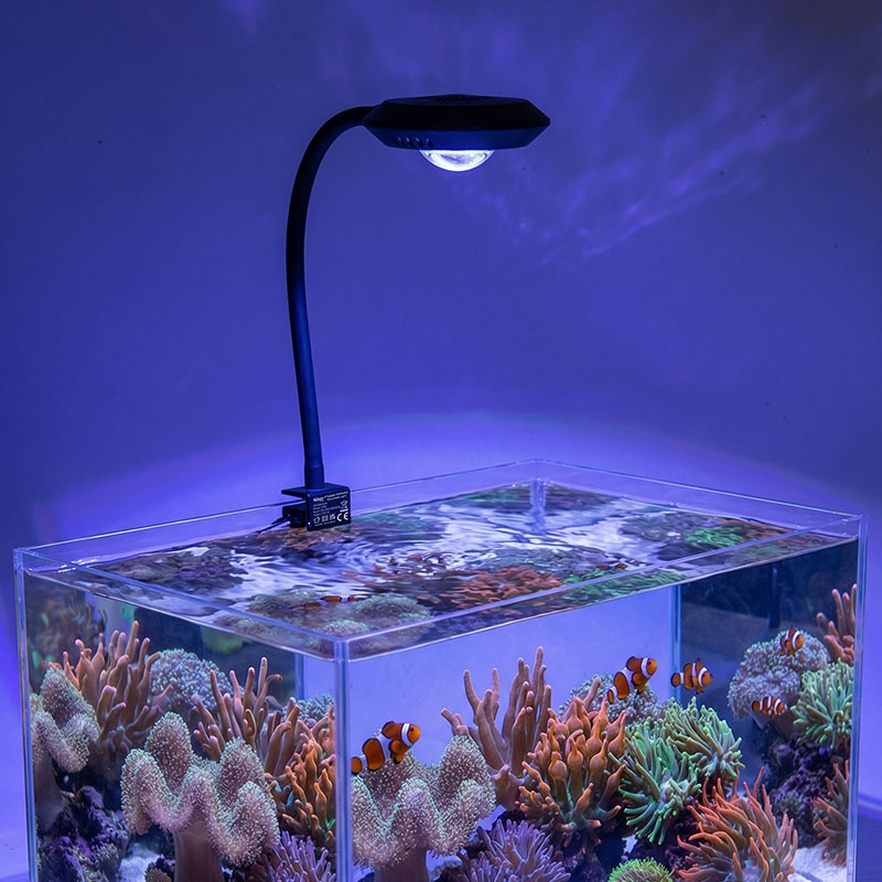 Ocean glow saltwater aquarium light