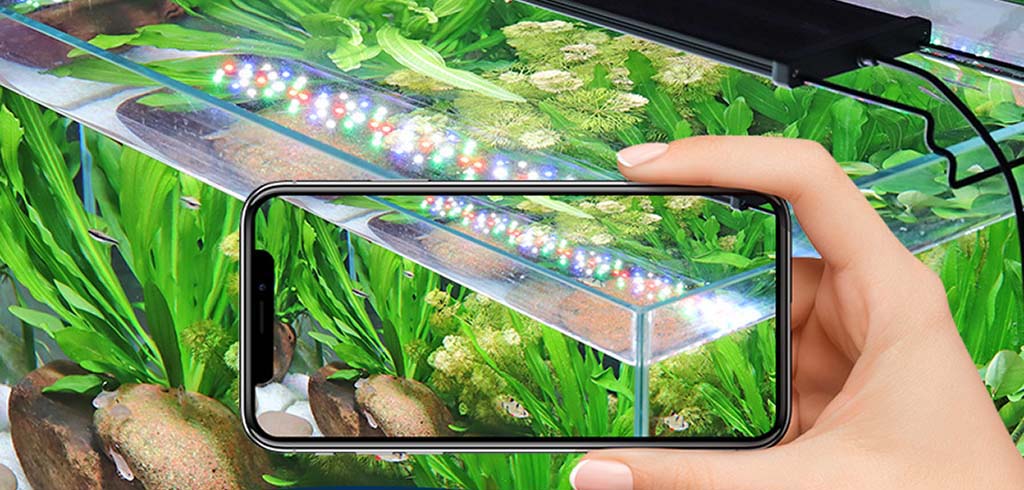 pro LED light for aquariums