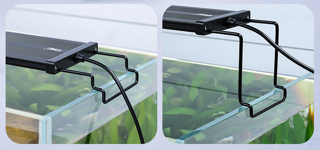 aquatic plants lighting needs