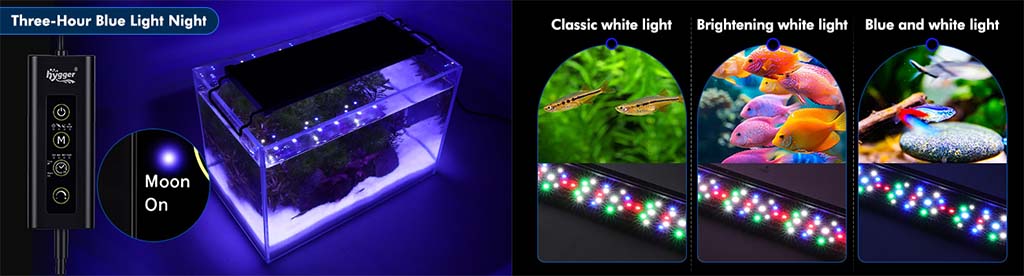 The Benefits of Pro LED Lights