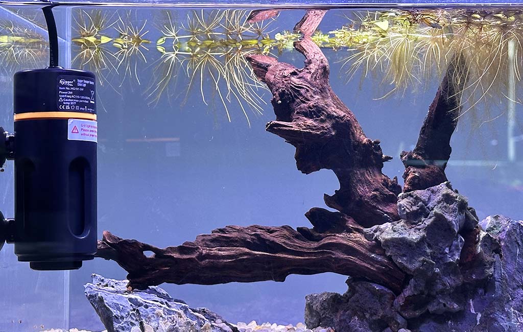 fish tank troubleshooting