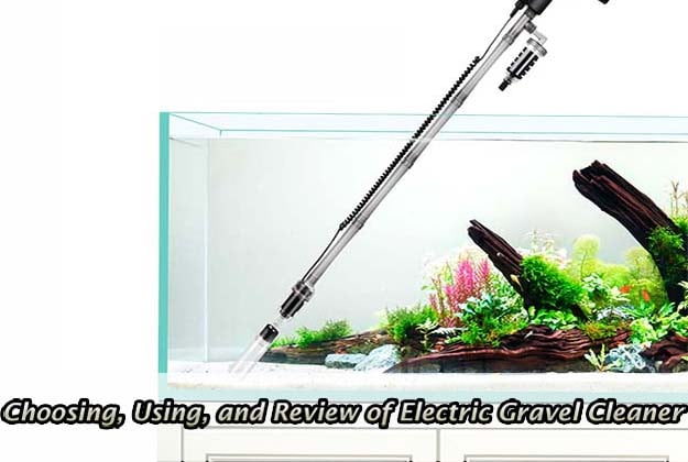Choosing, Using, and Review of Electric Gravel Cleaner