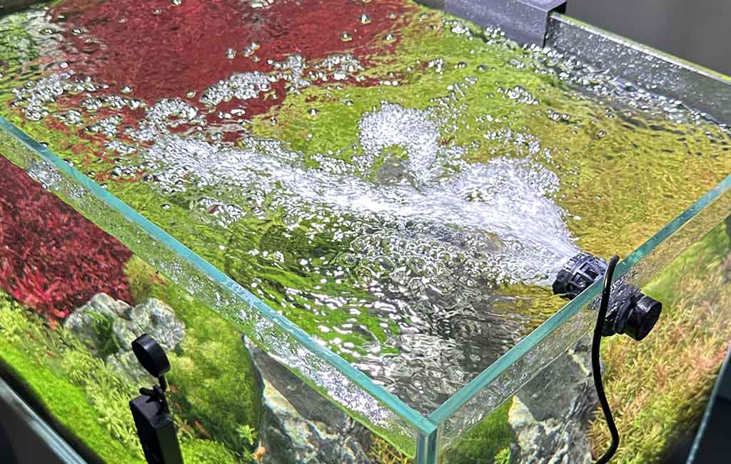 water types in aquariums