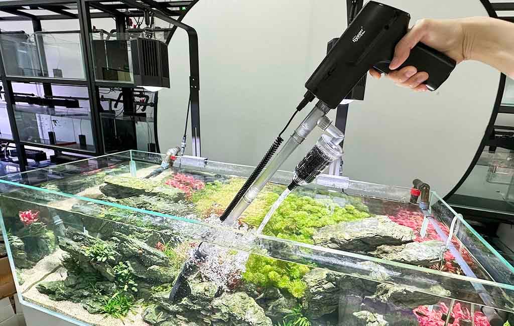 tank maintenance key tips