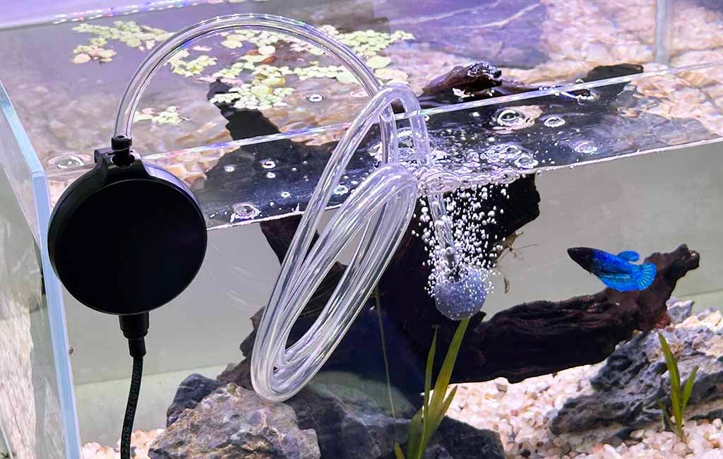 Different Water Tank Maintenance