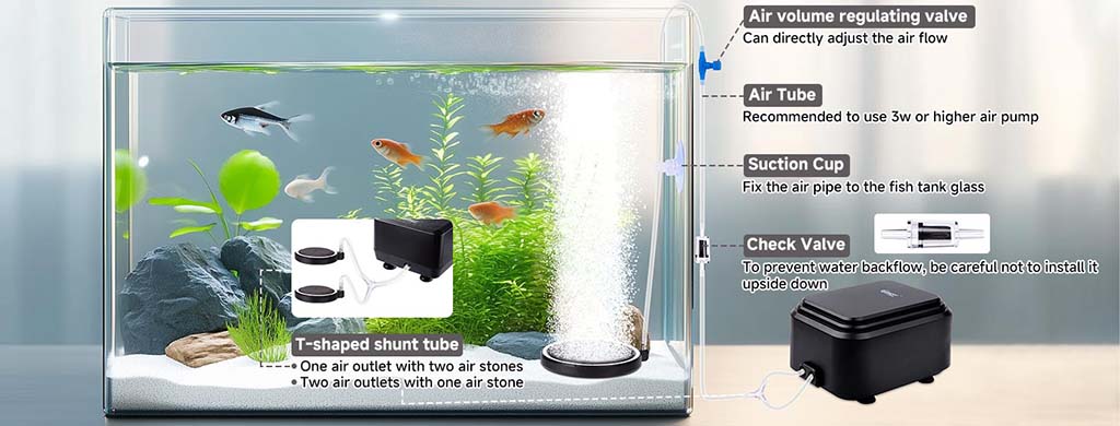 How to install air stone disc