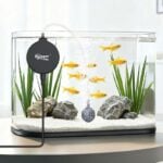 Small fish tank pro clip air pump