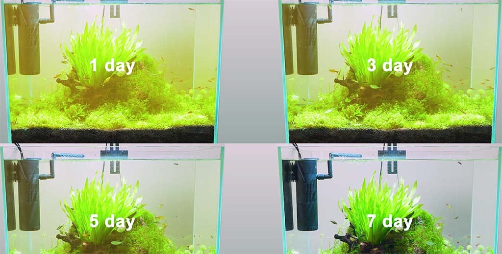UV aquarium filter