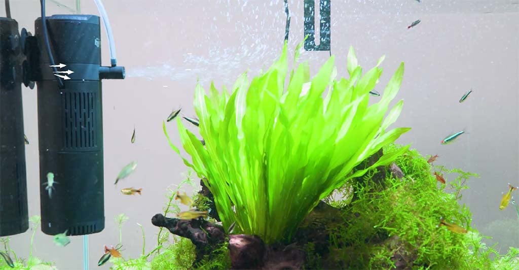 UV Aquarium Filter vs. Other Filtration Types