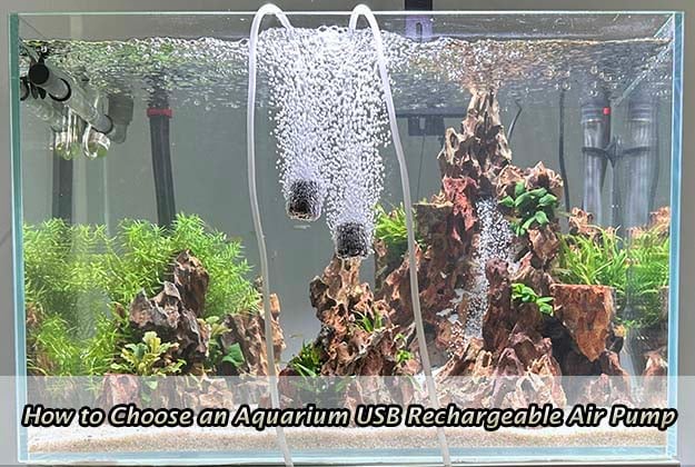 How to Choose an Aquarium USB Rechargeable Air Pump