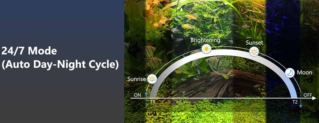 24/7 auto lighting cycle