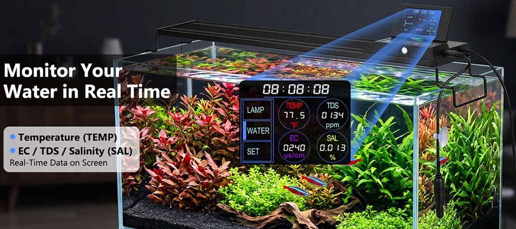 Real-time water monitoring
