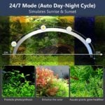 24/7 light cycle for planted tanks