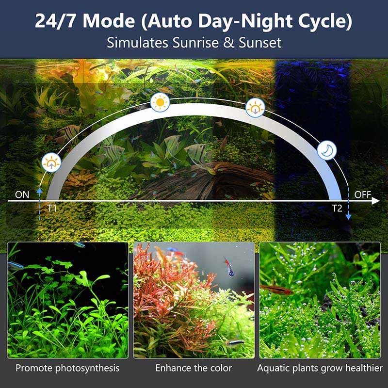 24/7 light cycle for planted tanks