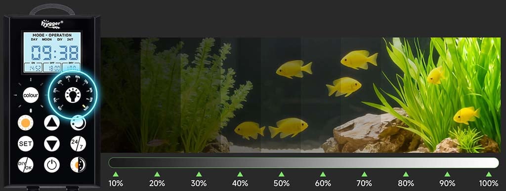 10 brightness lighting level
