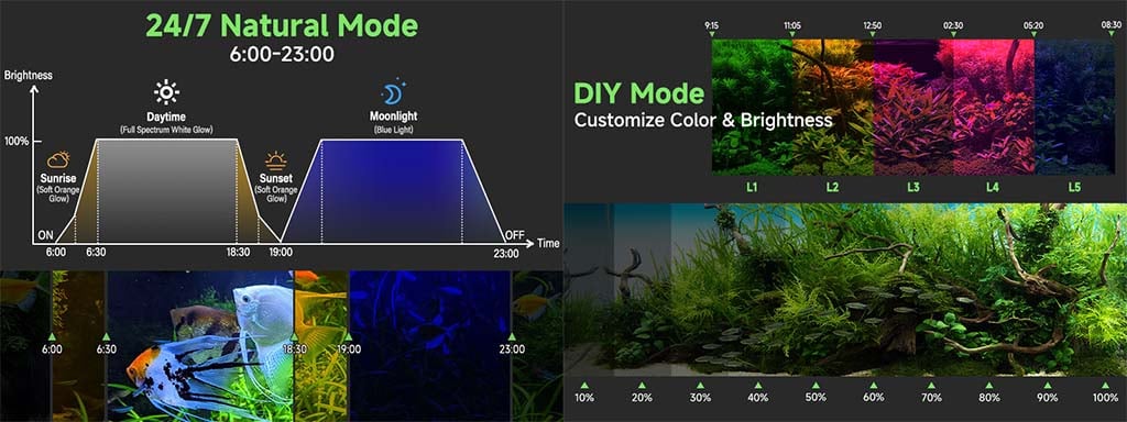 Natural mode 24/7 lighting cycle