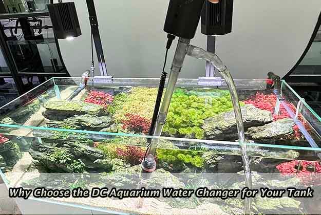 Why Choose the DC Aquarium Water Changer for Your Tank