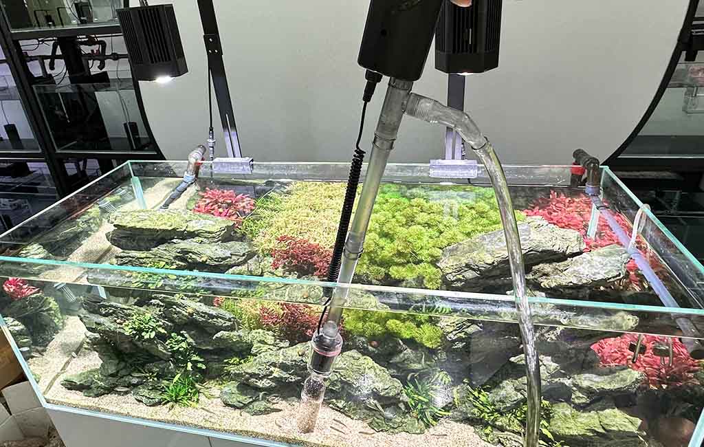 do my tank need a DC water changer